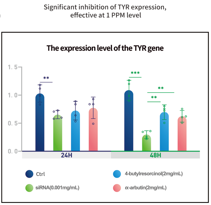 Активные ингредиенты siRNA в средствах по уходу за кожей