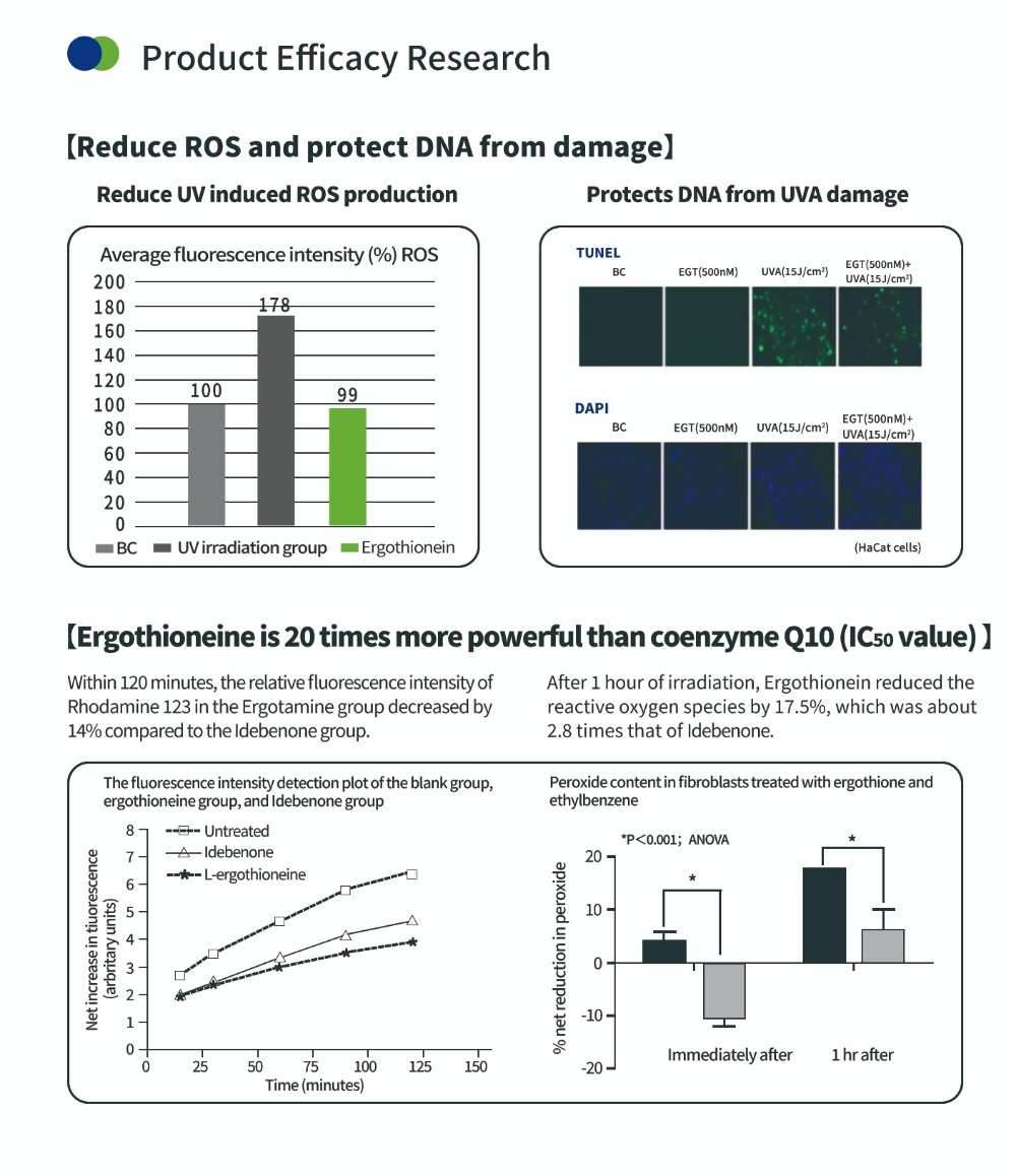 Антиоксидантное соединение эрготионеин
