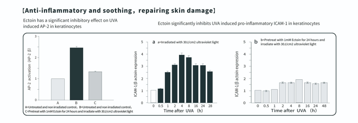 Противовоспалительные свойства порошка эктоина для кожи